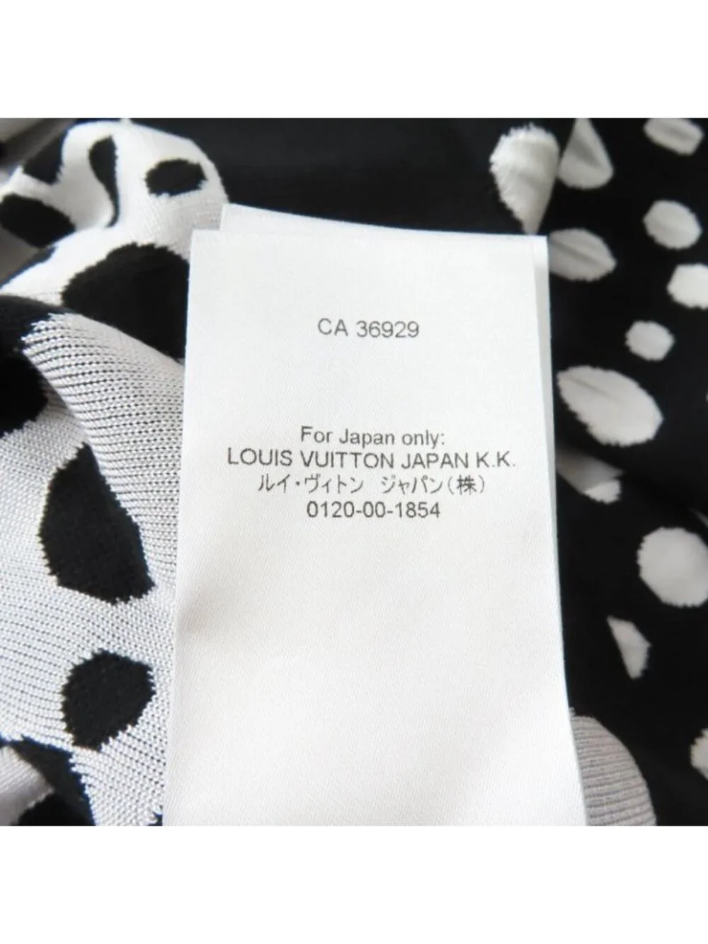 Louis Vuitton brand louis